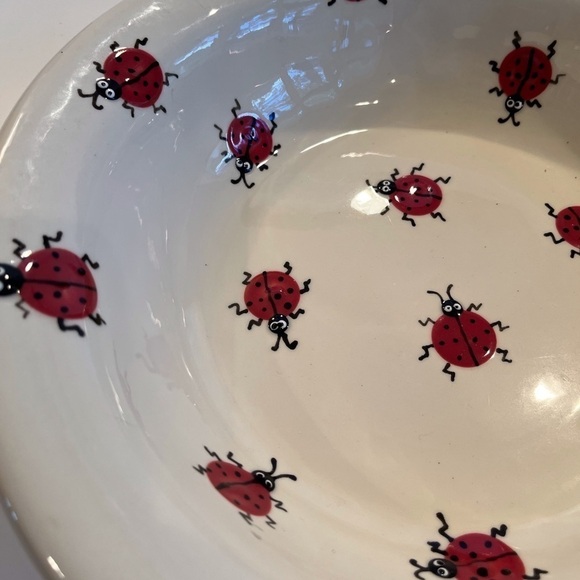 Adorable Handmade Pottery Bowl - “Lady Bug Haven” - Picture 4 of 9
